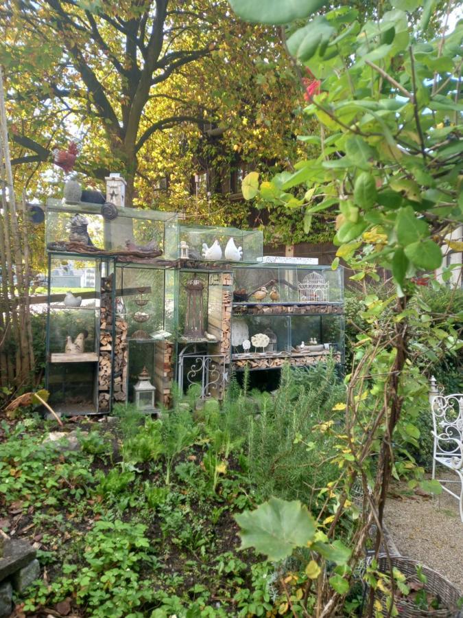 Airport Zuerich Elwiras B & B Lufingen Exterior photo