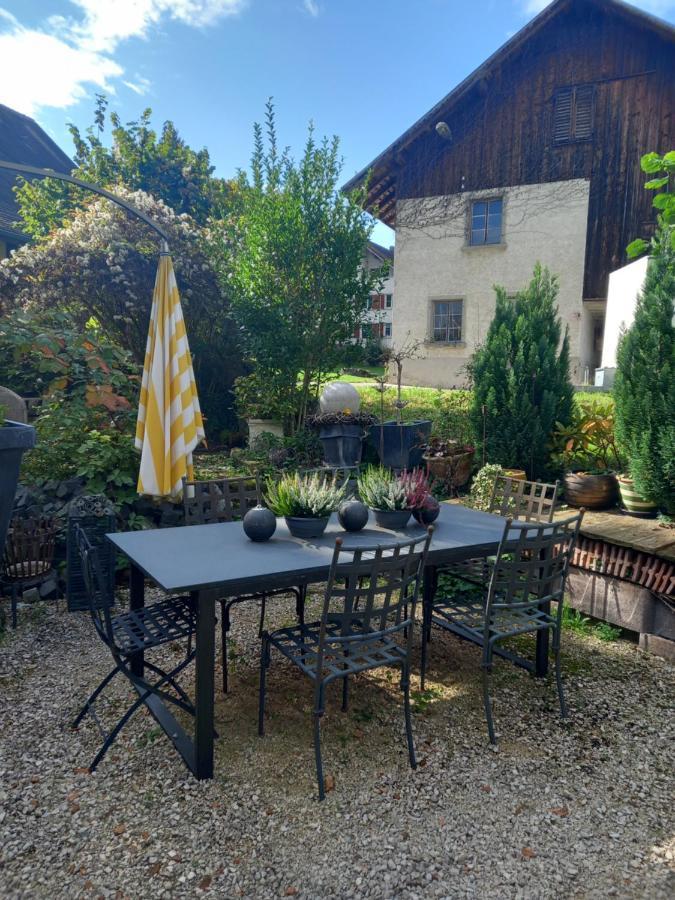 Airport Zuerich Elwiras B & B Lufingen Exterior photo