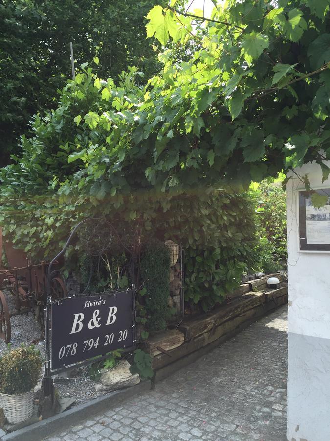 Airport Zuerich Elwiras B & B Lufingen Exterior photo