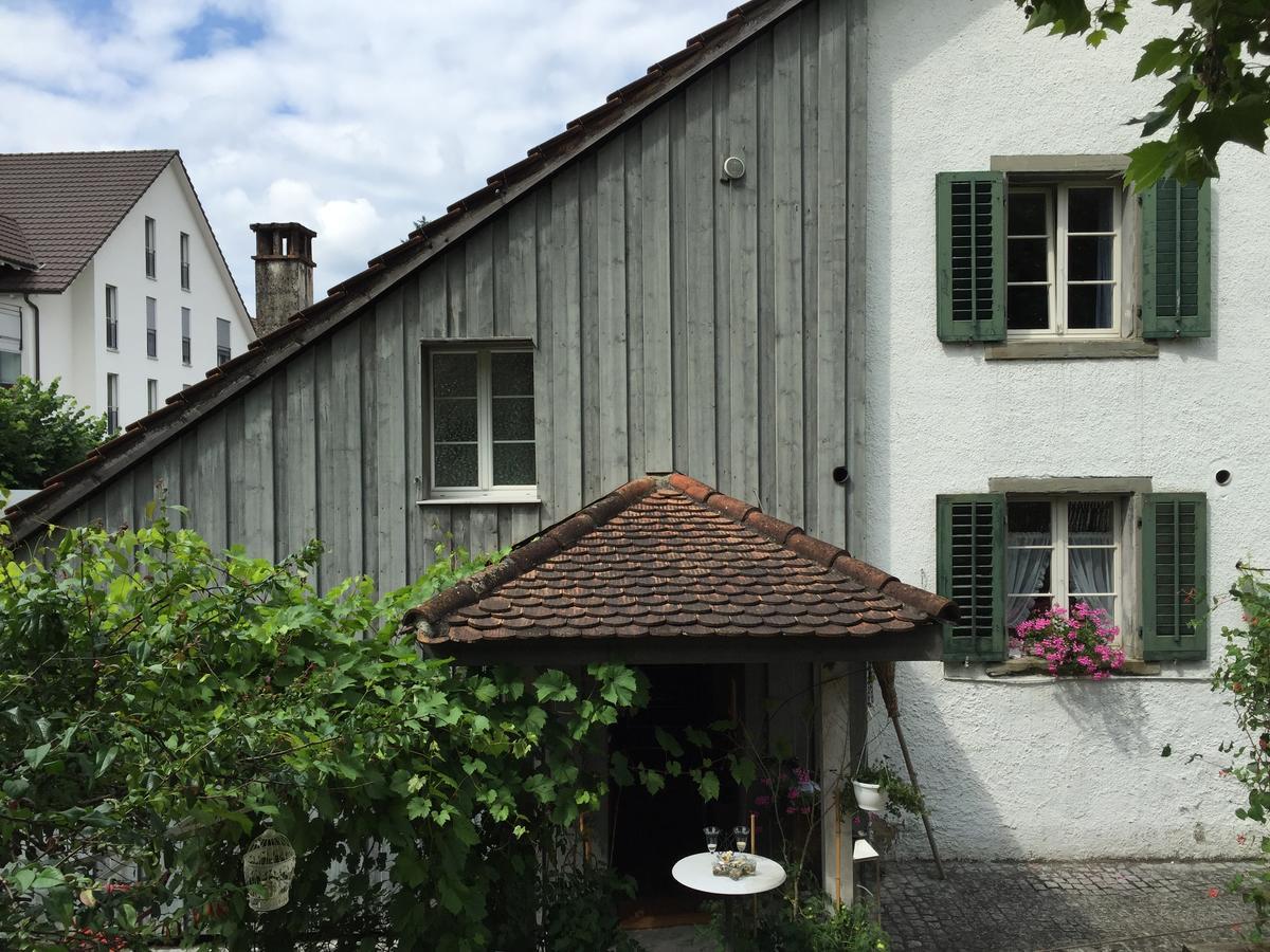 Airport Zuerich Elwiras B & B Lufingen Exterior photo